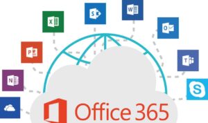 Professionnels à Angers discutant des nouvelles fonctionnalités d'Office 365